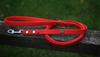 Hexa City Dog Leash, Width , S, /