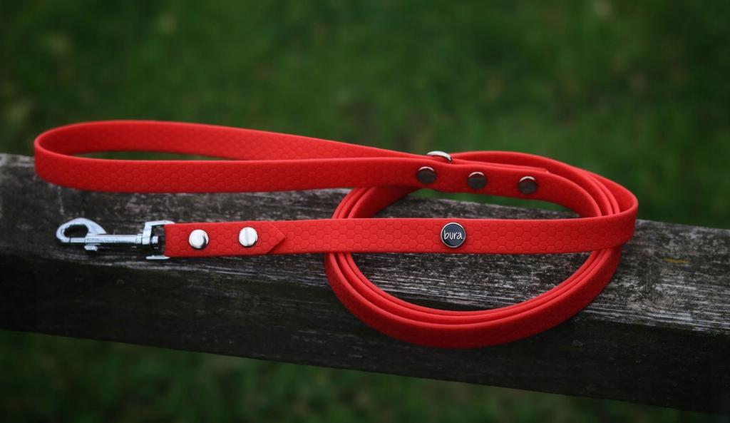 Hexa City Dog Leash, Width , S, /