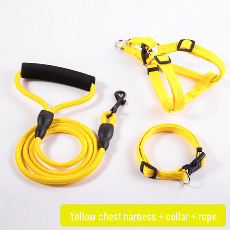 Adjustable Dog Leash and Collar Set for Small, Medium, and Large Dogs - Ideal for Walking Pets like Teddy and Golden Retriever