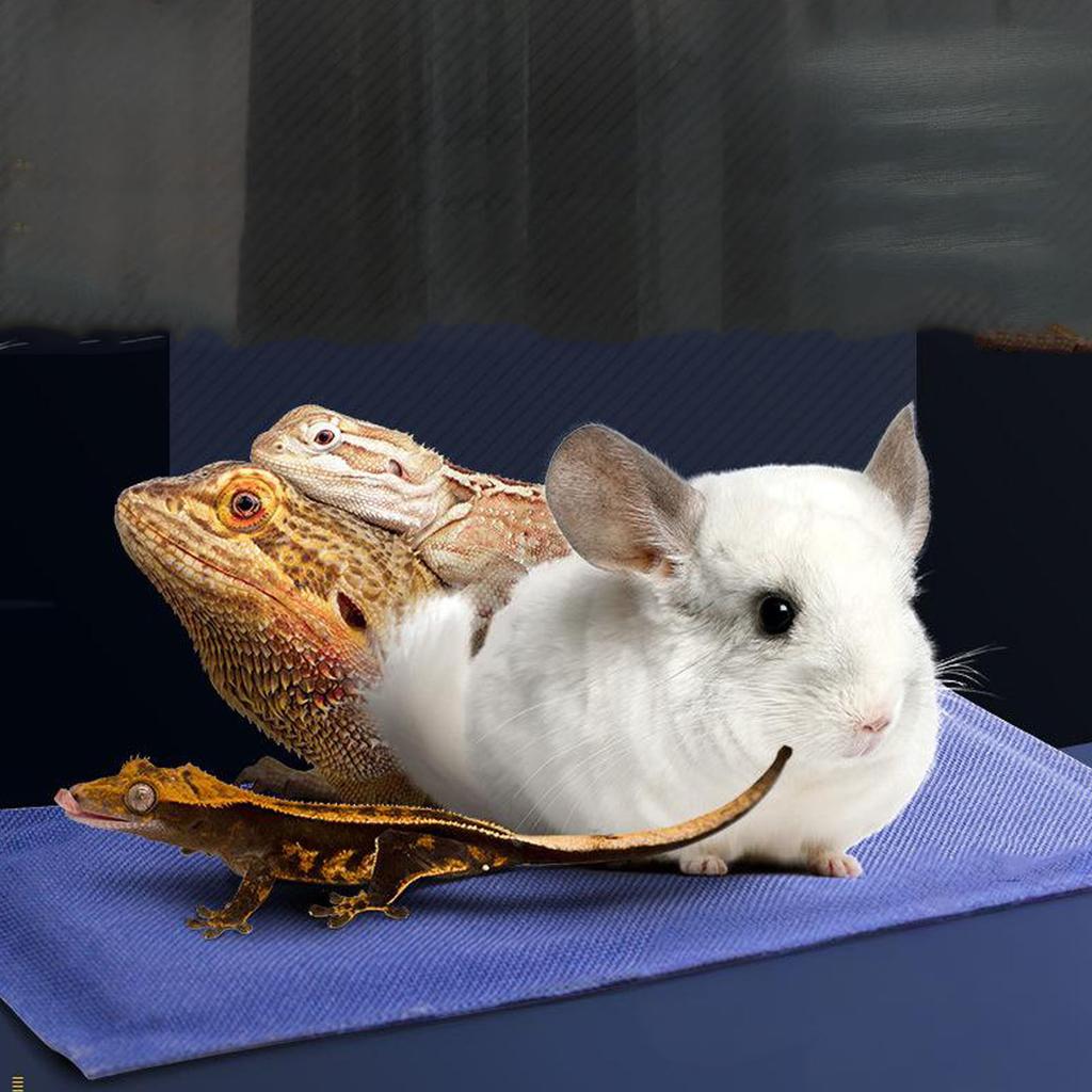 Kleine Reptilien Heizmatte Multifunktional Weich USB Tragbar Haustier Terrarium Wärmematte für Zuchtbox Käfig