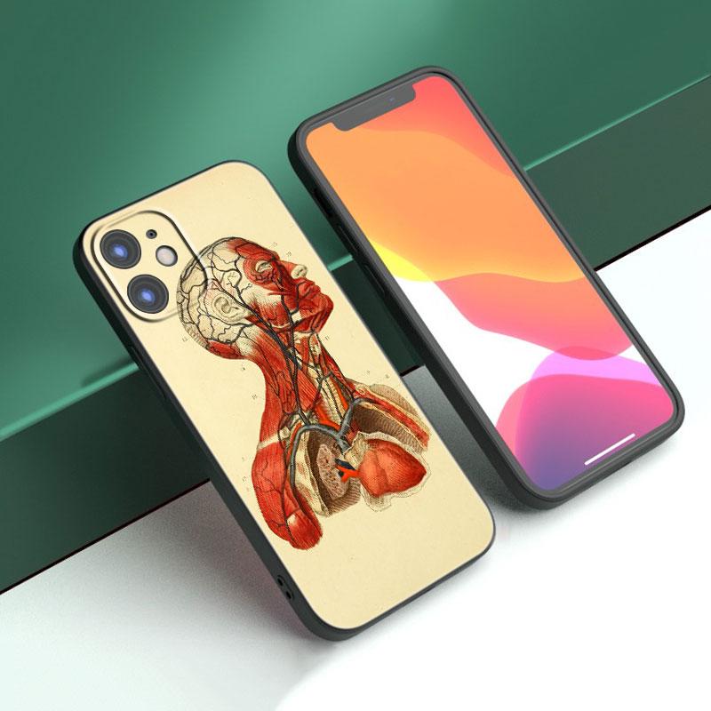 Medizinische Menschliche Organe Gehirn Meridian Niere Hohe Fall Für Apple iPhone 14 13 12 Mini 11 Pro Max 7 8 XR X XS 7 8 Plus SE 2020 2022