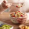 Qiaqia Yogurt Fruit Oatmeal Cereal