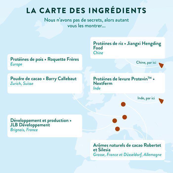 Protéine Végétale BIO - Pois, Riz, Chia & Courge - Alternative À La Whey - Riche En BCAA - Saveur Cacao - 500g Vegan - Nutri&Co