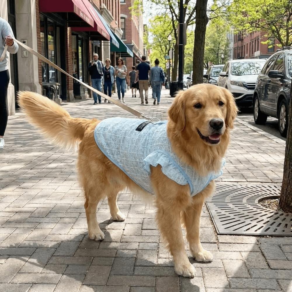 Thin Breathable Pet Cooling Vest Airy Fabric Summer Dog Clothes Pet Cooling Use