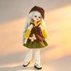 30cm 1/6 BJD Multi-Jointed Doll with Cute Clothes Set