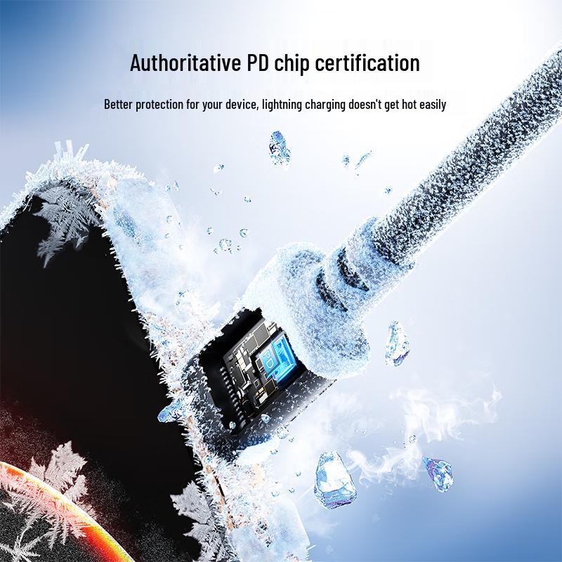 Lenovo ThinkPlus Type-C Dual-Head PD60W Fast Charging Cable