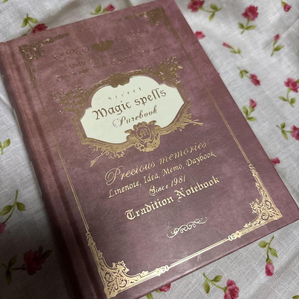 [GEBRAUCHT] Zaubersprüche Zauberbuch Tagebuch Notizbuch Harry Potter