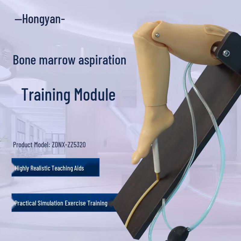 Hongyan Tibial Bone Marrow and Femoral Vein Puncture Model