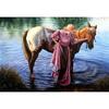 Diamond Embroidery Sale Horse Diamond Embroidery Wall Decor Scenery