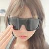 Lunettes de soleil de cyclisme d'extérieur pour femmes Y2K élégantes coupe-vent lunettes de soleil pour hommes alpinisme ski lunettes de soleil pour femme