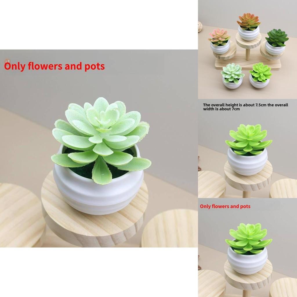 Faux Succulent Plant Lotus Potted Plant For Bedroom Or Workspace