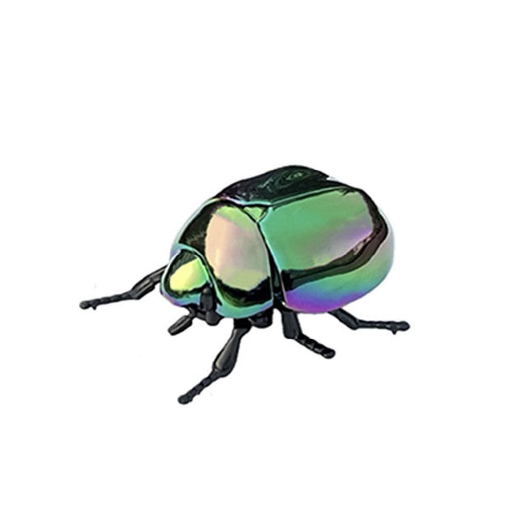 Simulation Beetle Wind Up Toy Stress Relief Crawling Insect For Kids Adult Educational Science Exploration Learning Toy