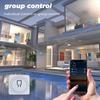 Smart Mini WiFi On/Off Switch with Timer & Countdown (AC 100-240V)