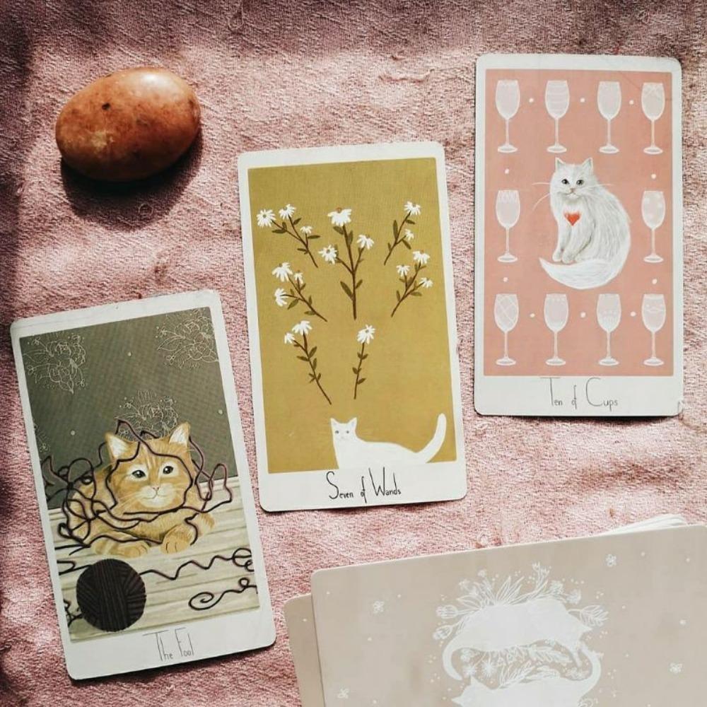 10.3*6cm Considerate Cat Tarot 78 Pcs Cards A Whimsical Cat Themed Tarot Deck Inspired By The Stories of Rescue Cats