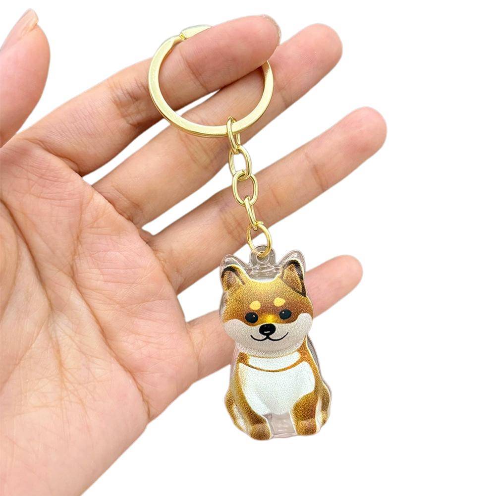 Cartoon Hundeform Hundehaar Aufbewahrungsbox Haarpflege Transparent Tierhaare Schlüsselanhänger Acryl Schlüsselanhänger Welpen Anhänger Schmuck Geschenk