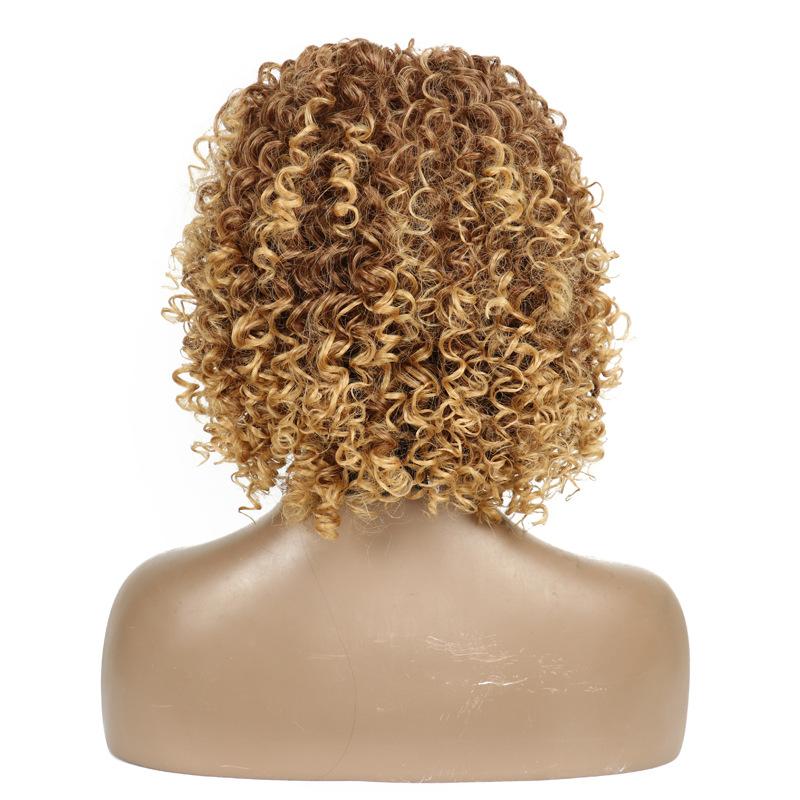 LISI HAIR Wigs European and American Fashion African Small Curly Ladies Wigs Headgear Afro