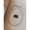 And American Minimalist Gold and Silver Pigment Chain Snake Bone Necklace Women Accessories Light Luxury High-Grade Double Layer Twin Choker Necklace