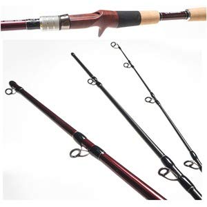 Fishman BRISTCompact FBC4MXH510 B.C.4 5.10MXH