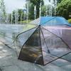 Rainbow Transparent Umbrella for Women, Foldable, Fully Automatic, Fresh and Forest-Style, Personalized, for Couples, Students, Creative, Manual