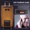 MALONE M-8510L Portable Bluetooth Trolley Speaker with Mic CN Plug (adapter Included)