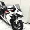 Zhang Xue 500RR Rearview Mirror Removal Cover Cap - Decorative Accessories