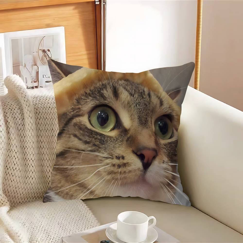 Funny Cat Pillow Cover For Bedroom Room And Living Room Sofa Decorative Cushion Cover