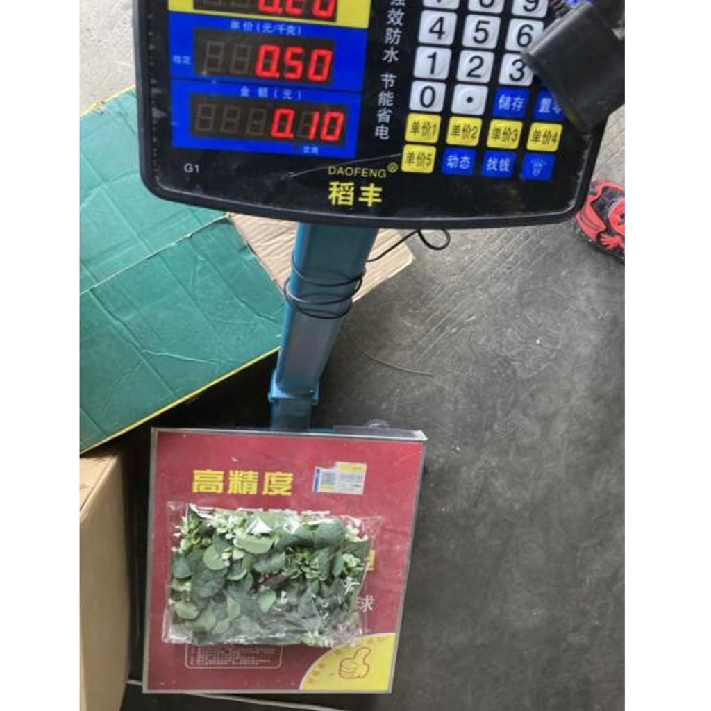 Plastic Sleeve Simulation Flower Wreath Door Decoration Flower Wreath Leaf Flower Wreath Party