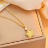 Brushed Star Zircon Pendant Necklace: Elegant Summer Clavicle Chain for Women