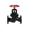 Fanxuan Manual Cast Iron Flanged Globe Valve J41T-16
