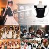 Hush & Vane Ruffle Apron, Cafe Waitress Maid, Dreamy (Black)