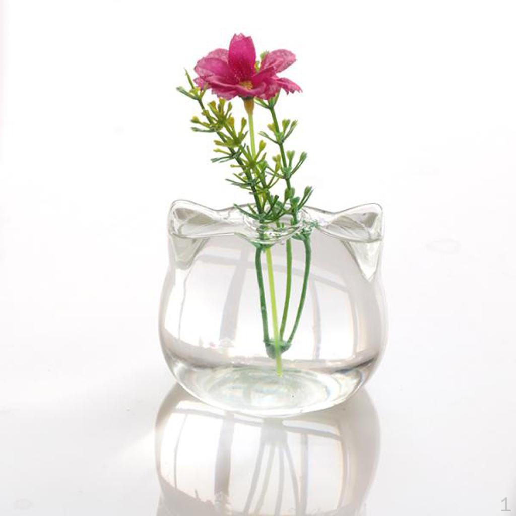 

Shaped Clear Vases Terrarium Container Living Room Decor