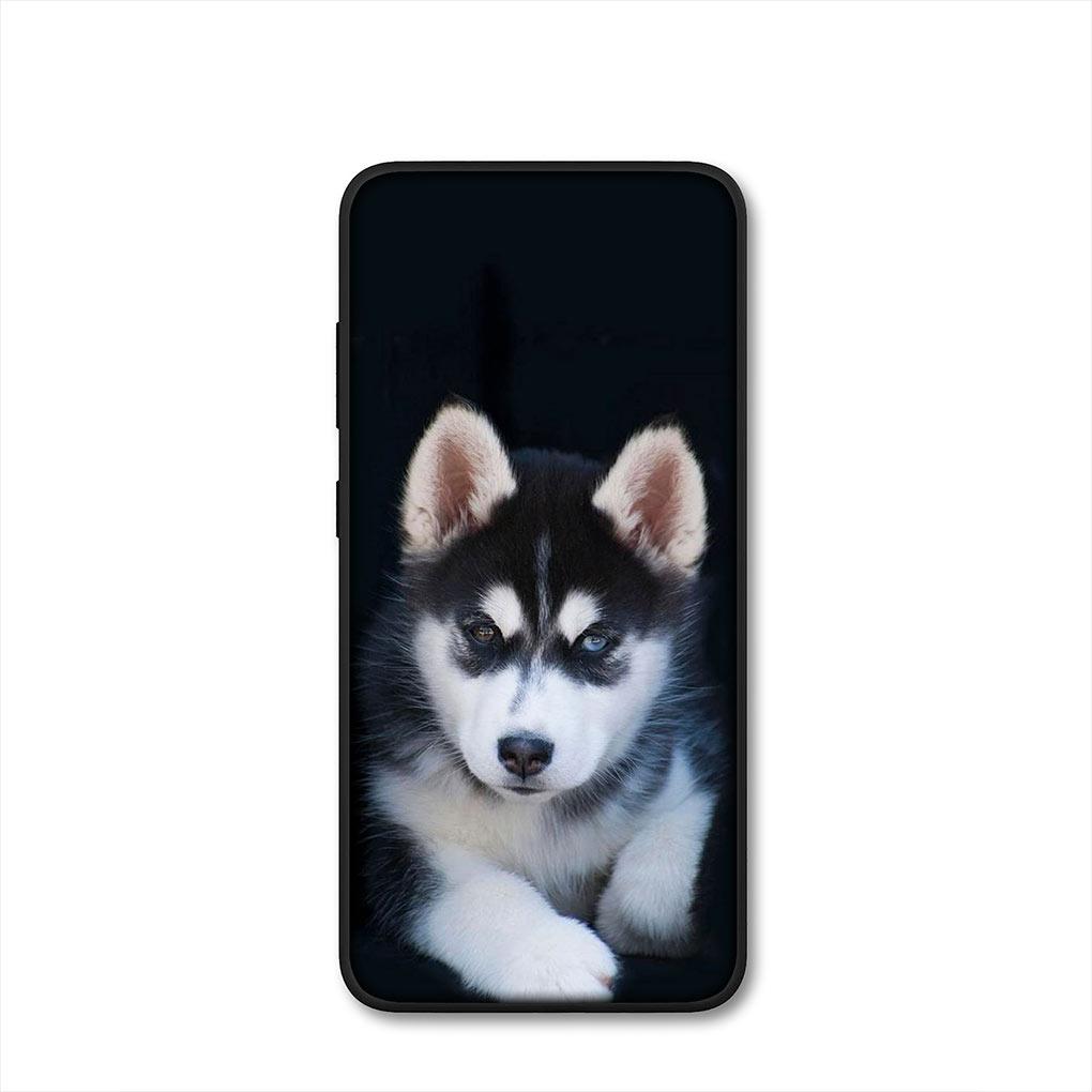 Bella Copertina per Telefono Divertente con Cane Husky per Samsung Galaxy S25 Pro S23 S22 S24 FE Ultra S10 Plus A05 A06 A15 A16 A26 A35 A36 Custodia