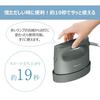 Panasonic Clothing Steamer 360° Powerful Steam Large Capacity Type Ivory NI-FS780-C