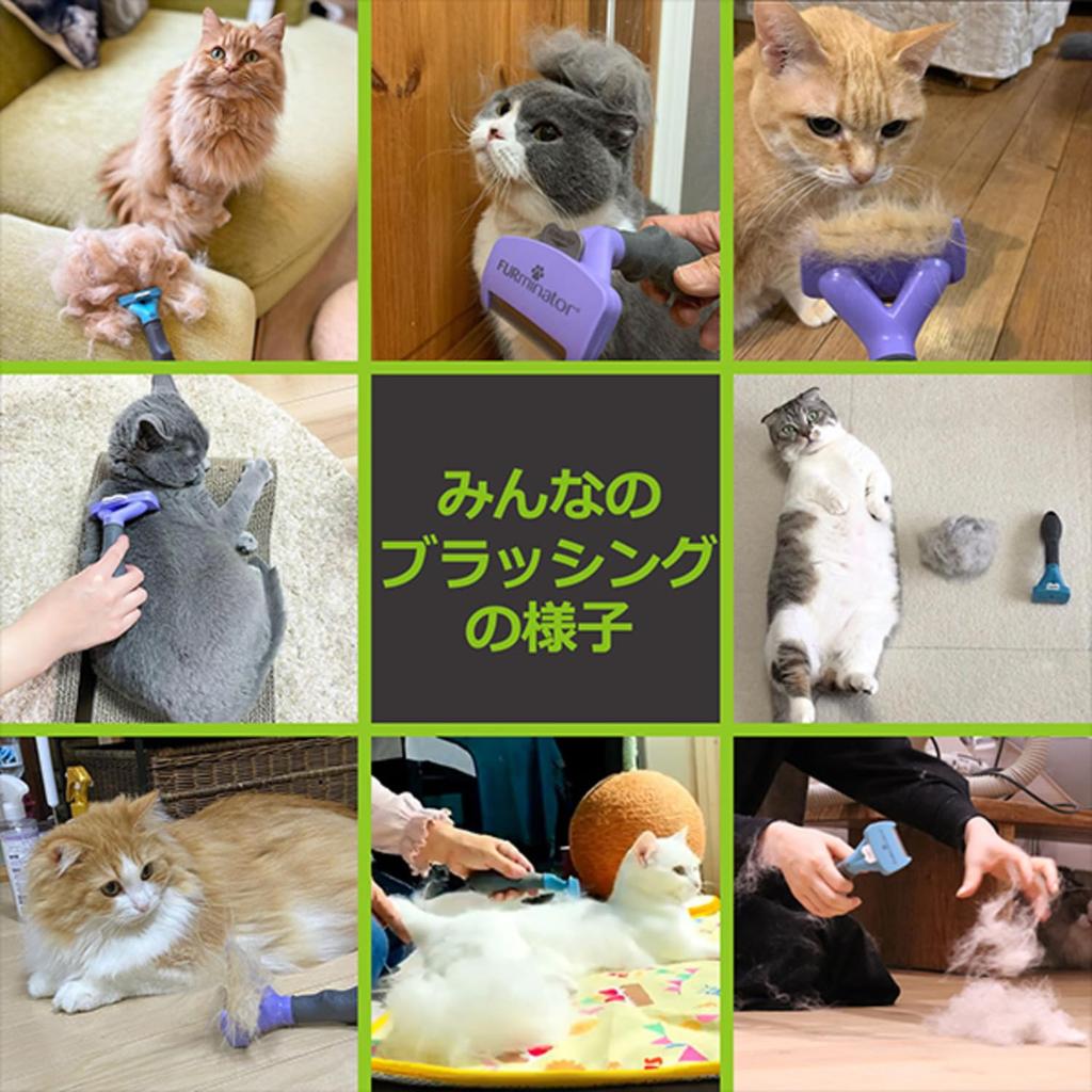 Furminator Pet Brush for Medium and Large Cats and Prevents Gentle on Removes Easily Removes Shed Hair with the Press of a Grooming Skin and