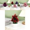 Plastic Faux Pinus Plant For Room Decor And Hotel Entrance With Durable Design