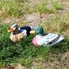Wooden Handcrafted Duck Figurine For Home Office And Garden Decor