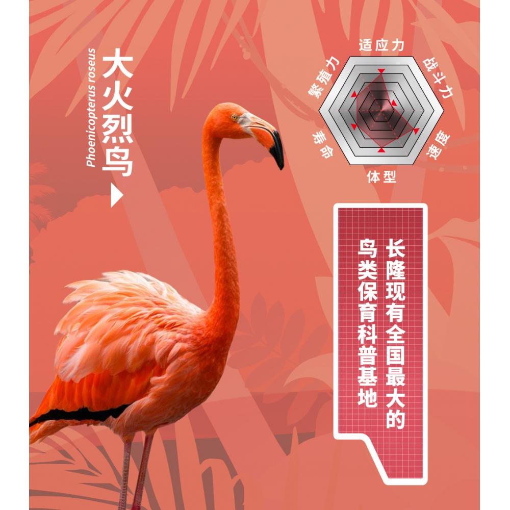 Beastbox Beastbox Bb 53cl Roseus