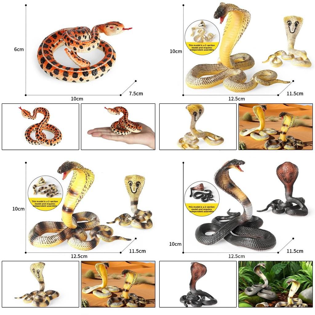 Childrens Realistic Snake Model With Plastic Construction For Educational And Play Use