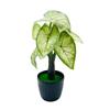 Leaf Taro Simulation Monstera Deliciosa  Artificial Plant Bonsai Decor Indoor