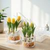 Tulip Bulb Planter Hydroponic Plant Growing Container with Clear Water Reservoir Multi-Hole Hydroponic Planter for Home Gardening Narcissus Hyacinth