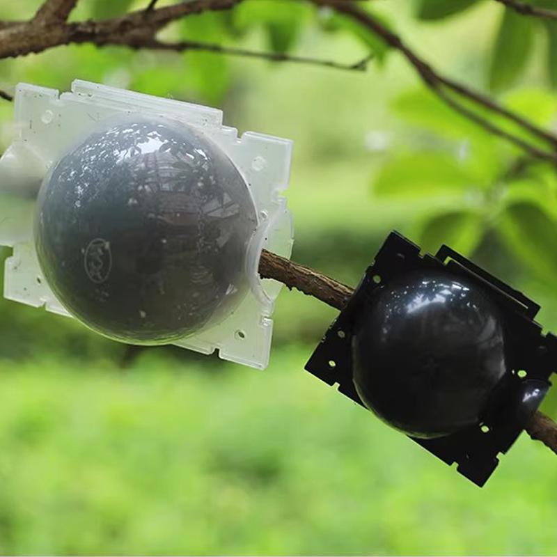 High Pressure Plant Rooting Propagation Ball Reusable Plant Root Growing Box Grafting Growing Boxes Garden Planting Flower Pots