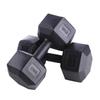 Hex Dumbbells & Kettlebells: Men's & Women's Rubber Coated Home Fitness Equipment