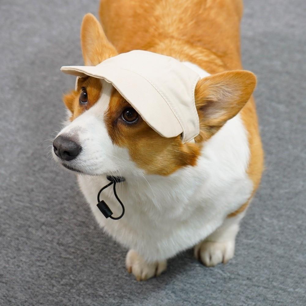 Adjustable Dog Sun Hat Sun Protection Dog Sunscreen Hat Handsome Dog Baseball Cap  Daily Wear