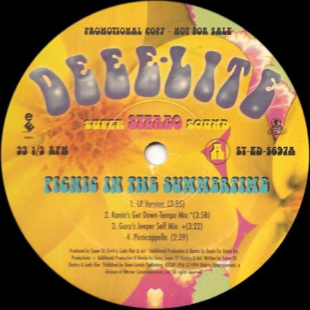 

12inch Record DEEE-LITE - Picnic In The Summertime STED5697PROMO Elektra 1994 US Dance & Electronica Used