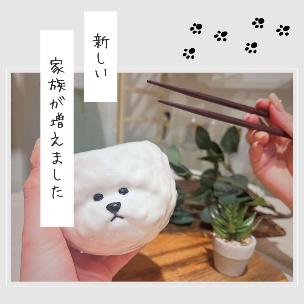 sun art Cute Rice Bowl with Bichon Frise Birthday Dog Party 11 X 9 SAN4908 Die-Cut Design, Animal-themed Tableware, Gift, Merchandise, Year-End