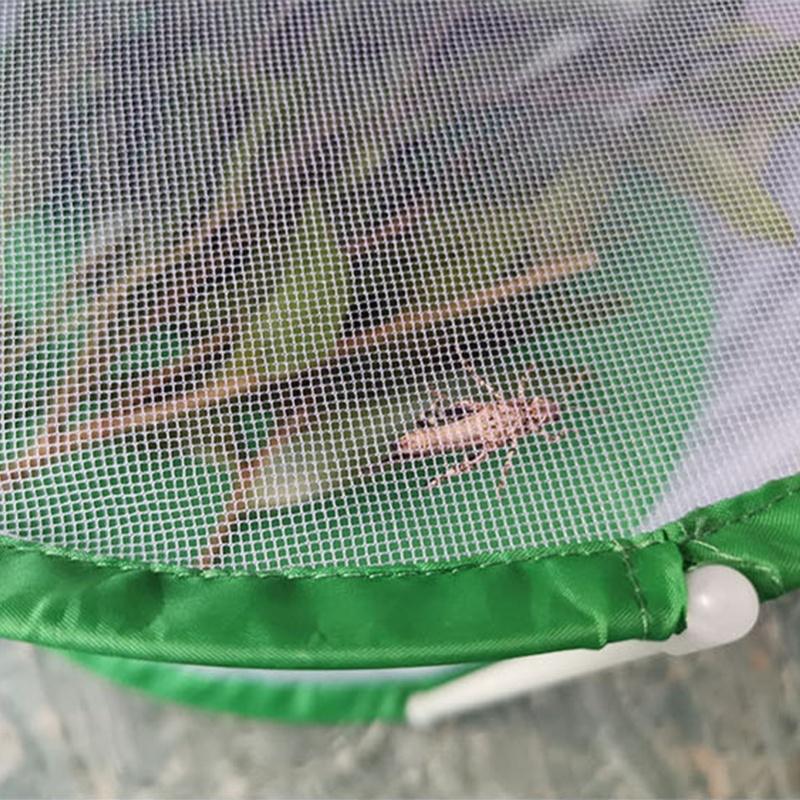 Cylindrická pozorovací klec na motýly a hmyz Průhledná síťovaná klec pro okrasné rostliny