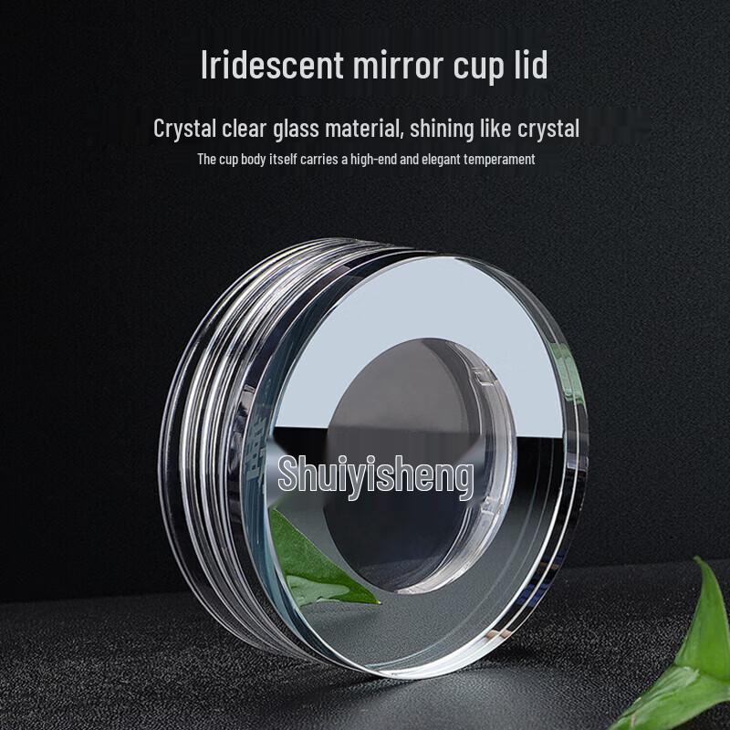 Shuiyisheng G525 Glass Tea Bottle with Titanium Infuser