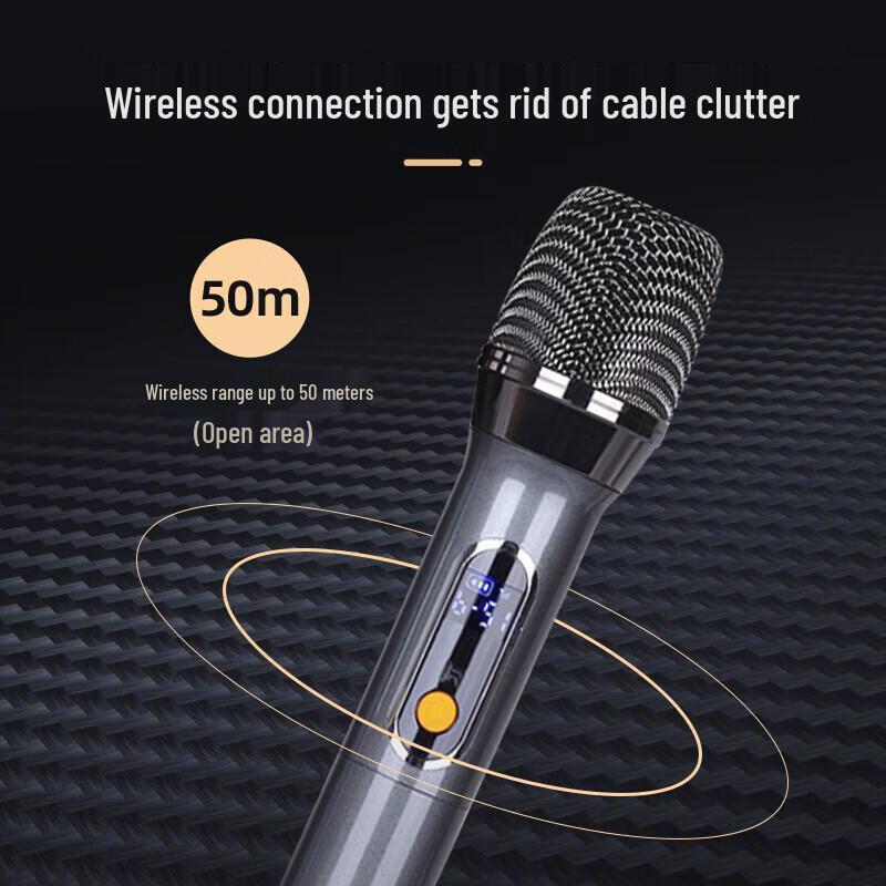 SAST D62 KTV Home/Conference Bluetooth Amplifier