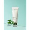 Crème Fluide à l'Armoise 50ml
