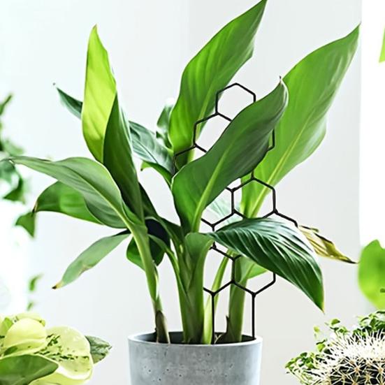 Plant Trellis for Climbing Plants Rustproof Garden Planter Trellis Decorative Plant Support Trellis for Potted Plants Monstera Ivy Pothos Flower Vine